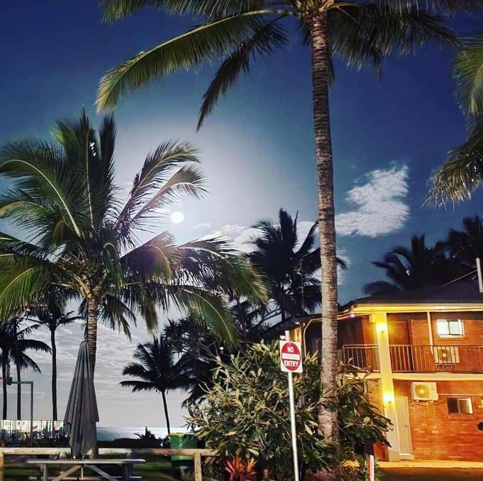 萨日娜海滩汽车旅馆 Grasstree Beach 外观 照片