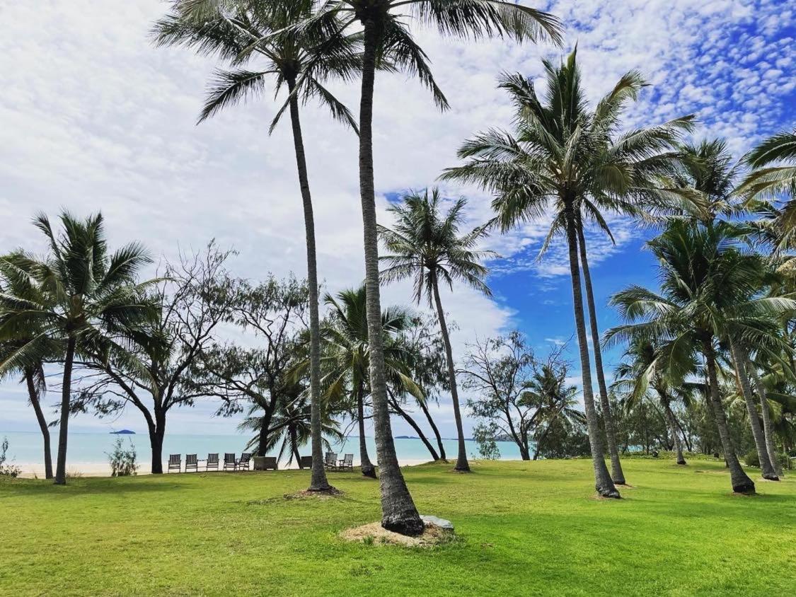 萨日娜海滩汽车旅馆 Grasstree Beach 外观 照片
