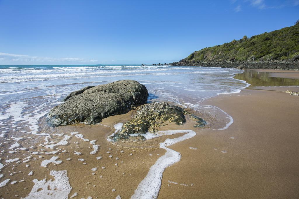 萨日娜海滩汽车旅馆 Grasstree Beach 外观 照片